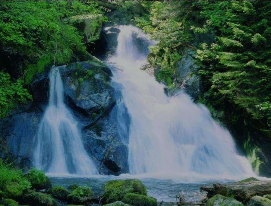 Urlaub Auf 1.000 Meter Hoehe Mit Pool Und Sauna Schönwalde Exteriér fotografie