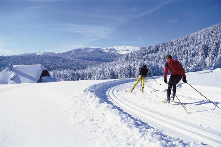 Urlaub Auf 1.000 Meter Hoehe Mit Pool Und Sauna Schönwalde Exteriér fotografie