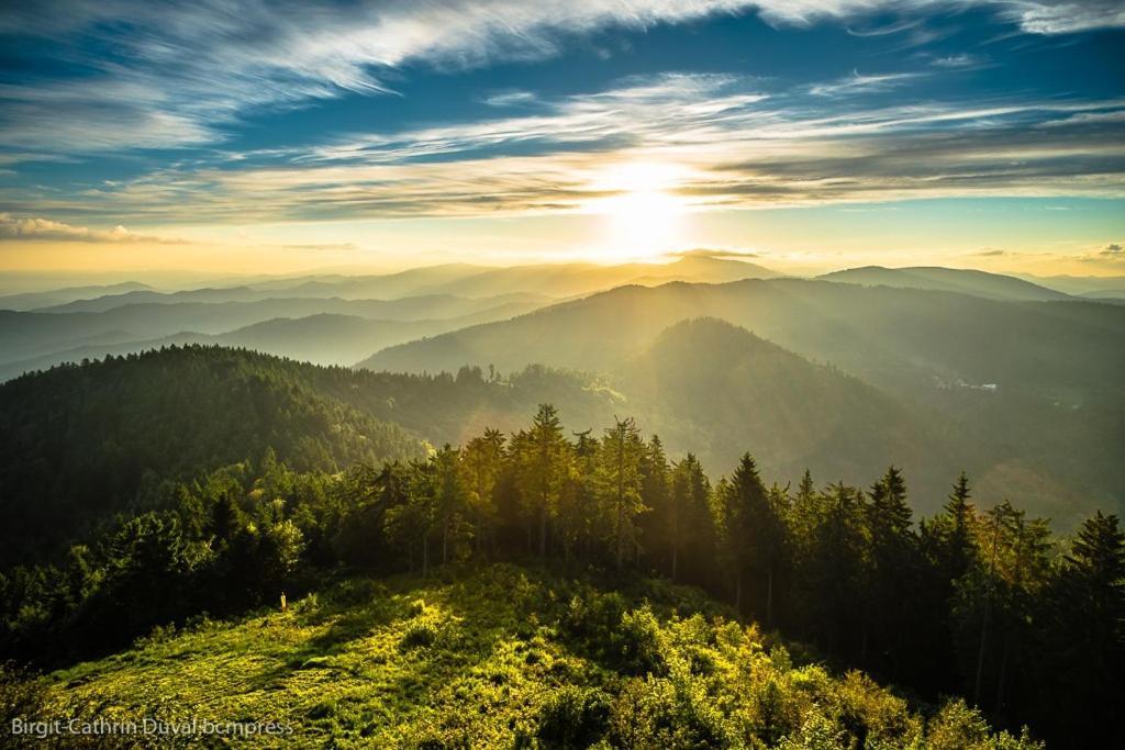 Urlaub Auf 1.000 Meter Hoehe Mit Pool Und Sauna Schönwalde Exteriér fotografie