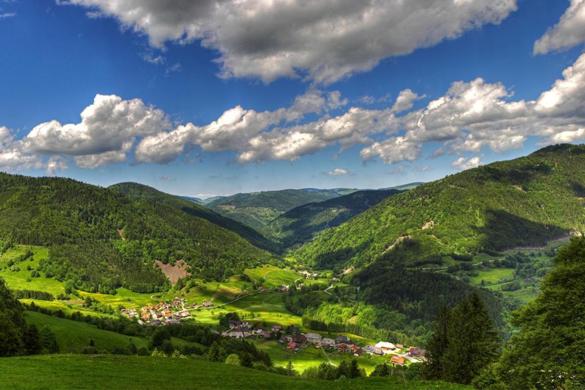 Urlaub Auf 1.000 Meter Hoehe Mit Pool Und Sauna Schönwalde Exteriér fotografie